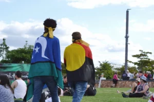Two individuals are seen from the back, draped in flags representing different cultural heritages, walking through a park where various other people are sitting and enjoying the day. The person on the left is wearing a Torres Strait Islander flag, while the person on the right is wrapped in an Aboriginal flag. The scene is casual and appears to be during a public event or gathering